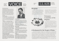 1993m03 Voice Dinas Powys