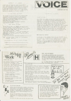 1981 Voice Llanishen