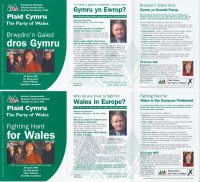 2004 Cymru-yn-Ewrop Jill Evans
