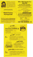 1999x Pontypridd Delme Bowen