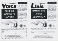 2006 Pontypridd Voice 2