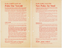 1970x Polisi dur Newydd