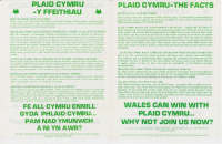 1981 Plaid Cymru Ffeithiau