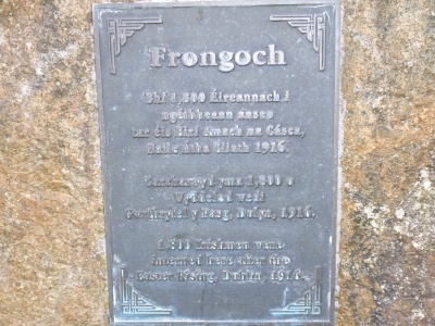 2011 Frongoch 